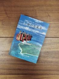 沖縄県竹富島の種子取祭台本集　芸能の原風景　改訂増補版