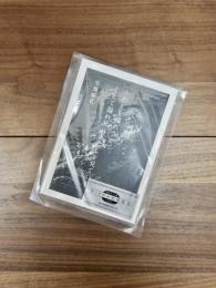 あたしを溺れさせて。そして溺れ死ぬあたしを見ていて　ヴァイナル文學選書4　新宿歌舞伎町篇