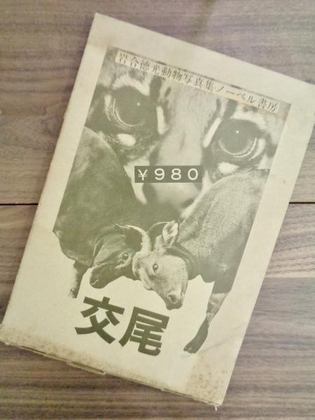 交尾 岩合徳光動物写真集 岩合徳光 古本 中古本 古書籍の通販は 日本の古本屋 日本の古本屋 交尾 岩合徳光動物写真集 岩合徳光 古本 中古本 古書籍の通販は 日本の古本屋 日本の古本屋