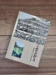 おばあちゃんの見た山村の80年　物部村岡ノ内の民具生活誌