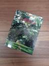 建築と都市　a+u　1989年9月臨時増刊号　可能性の住宅　ヘンリィ・プラマー　THE POTENTIAL HOUSE　HENRY PLUMMER