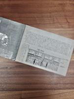 THE BODIES情報　NO.1