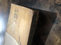 蕗のとう