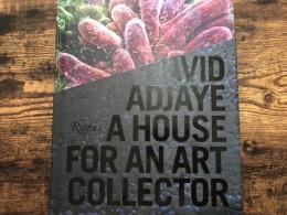 David Adjaye : a house for an art collector