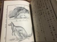 中學動物教科書 : 全　博物教科統合叢書