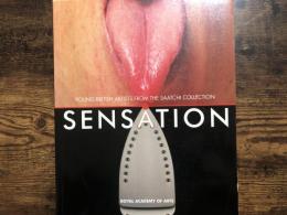 Sensation : young British artists from the Saatchi Collection