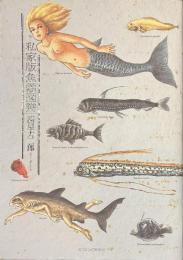 私家版魚類図譜