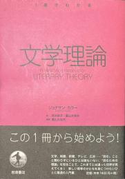 文学理論　１冊でわかるシリーズ