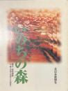 いのちの森　縄文・桜町遺跡　付縄文の道（中国からの報告）