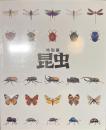 特別展　昆虫