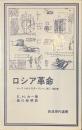 ロシア革命　レーニンからスターリンへ、１９１７-１９２９年　岩波現代選書
