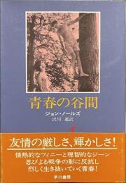 青春の谷間