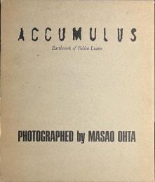 ACCUMULUS Earthwork of Fallen Leaves