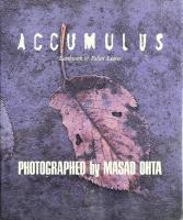 ACCUMULUS Earthwork of Fallen Leaves