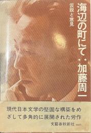 海辺の町にて　仮説と意見
