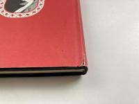 パースペクティブキッド