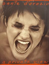 A private view : photographs & diary (サンテ・ドラjジオ写真集)