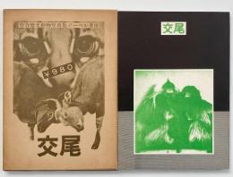 交尾 : 岩合徳光動物写真集