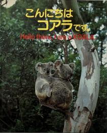 こんにちはコアラです。 : Hello there, I am a KOALA.