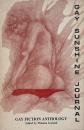 Gay Sunshine Journal: Anthology of Fiction/ Poetry/Prose No. 47