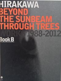 平川典俊 : 木漏れ日の向こうに : works 1988-2012　Book B