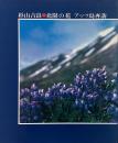 北限の花 アッツ島再訪