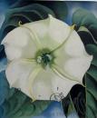 Georgia O'keeffe: 100 Flowers　ジョージア・オキーフ画集