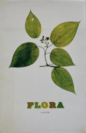 Flora　ニック・ナイト写真集