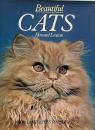 Beautiful Cats