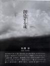 創造する魂 : 沖縄ギラギラ琉球キラキラ100+2