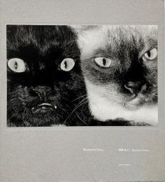 Wonderful days (深瀬昌久写真集)