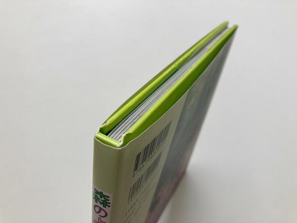 森のようちえん(石亀泰郎) / 古本、中古本、古書籍の通販は