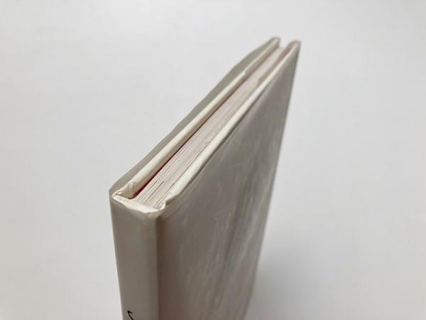 リタ・アッカーマン・ワークス 1993-1996(Rita Ackermann / リタ