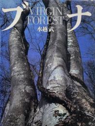 ブナ : Virgin forest