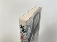 魂の印象派　木村忠太