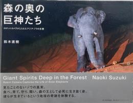 森の奥の巨神たち : ロボットカメラがとらえたアジアゾウの生態