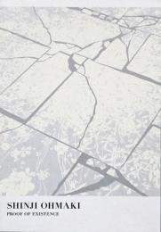 大巻伸嗣 : 存在の証明