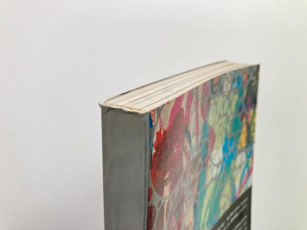 SO 大竹伸朗の仕事 1955－91(大竹伸朗 Shinro Ohtake, 都築響一