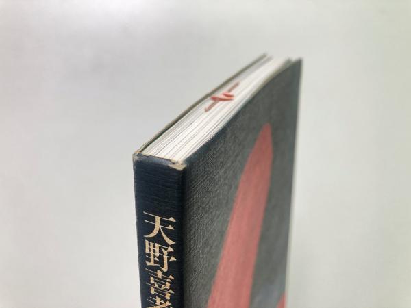 アリス・エロチカ(天野喜孝 画 / 海野弘 文) / 古本、中古本、古