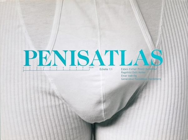 希少 PENISATLAS 洋書 医学書 解析書 希少 PENISATLAS 洋書 医学書 解析書