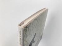 Brice Marden: Paintings, Drawings, Etchings (ブライス・マーデン作品集)