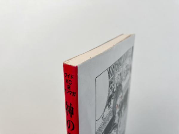 神の悪ふざけ (ヤングマガジンワイドコミックス)(山田花子
