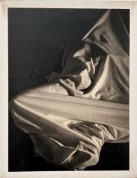 David Salle : photographs 1980 to 1990 (デイヴィッド・サーレ写真集)