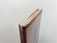傷つくもんか! (ウル叢書)