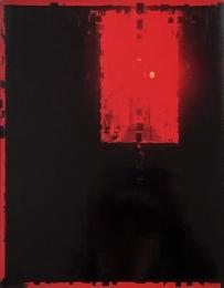 大竹伸朗 : 網膜 = Shinro Ohtake : retina