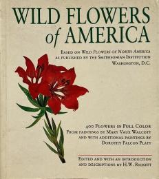 Wildflowers of America  < Tiny Folio>  (北米の野花)