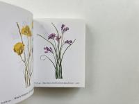 Wildflowers of America  < Tiny Folio>  (北米の野花)