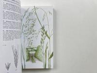 Grasses, Sedges, Rushes and Fern of Britain & Northern Europe <Collins Pocket Guide> (英国と北ヨーロッパのイネ科植物、スゲ科植物、イグサ科植物、シダ科植物)