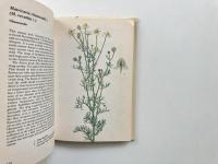 Herbs <A Concise guide in colour> (ハーブ辞典)