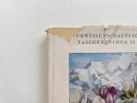 Alpenpflanzen 4 <Sammlung naturwissenschaftlicher Taschenbücher 23> (高山植物)